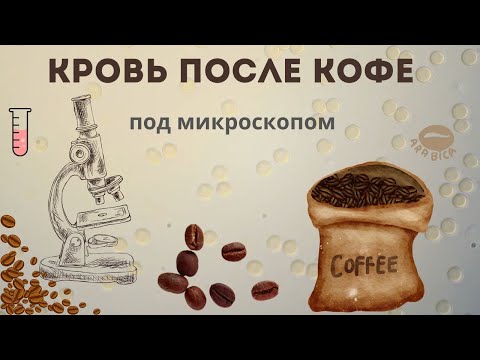 Видео: Как употребление кофе повлияет на мою кровь.