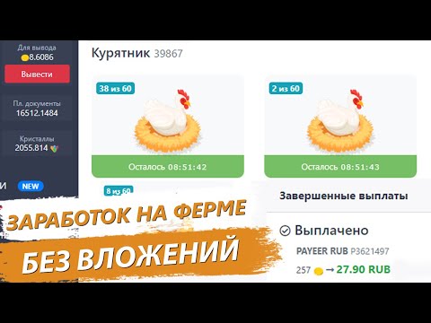 Видео: Заработок без вложений на ферме Biznesferma выплата с проекта