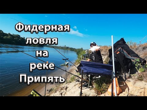 Видео: Рыбалка на реке Припять.