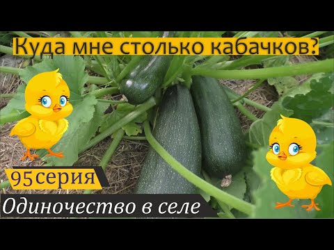 Видео: Новости июля: цыплята, гуси, кабачки. Одиночество в селе, серия 95