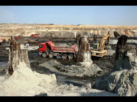 Видео: Откопали допотопные ПЕНЬКИ под 60 м. песка и другие странности