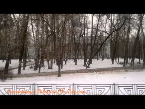 Видео: Автобус 50