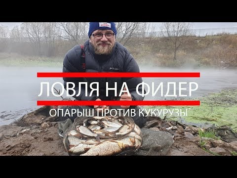 Видео: Рыбалка на фидер. Cекреты ловли на фидер.  Опарыш против кукурузы