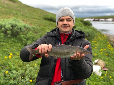 Видео: Рыбалка на реке Хальмер-Ю 2019