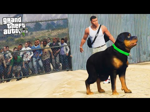 Видео: ФРАНКЛИН И ЧОП ВЫЖИВАЮТ В ЗОМБИ АПОКАЛИПСИС! ИЩЕМ УБЕЖИЩЕ! - GTA 5 (МОДЫ ГТА 5)
