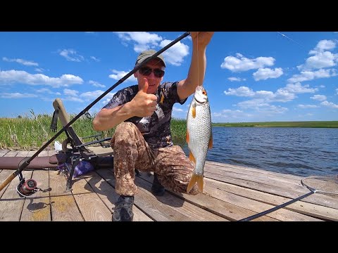 Видео: Уловистая Фидерная Рыбалка в Деревне: Караси и Плотва на Перловку и Кукурузу!