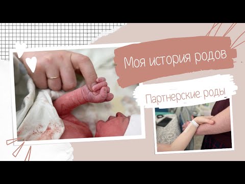 Видео: Мои роды | Роды по ОМС в ЩПЦ | Партнерские роды