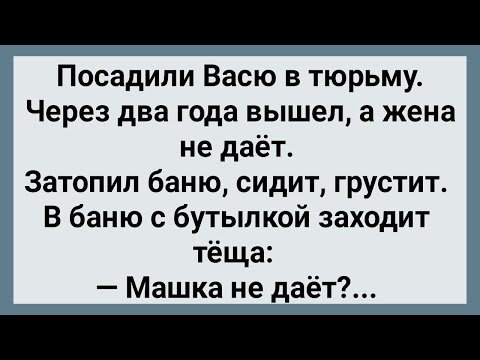 Видео: Как Вася из Тюрьмы Вышел! Сборник Свежих Анекдотов! Юмор!