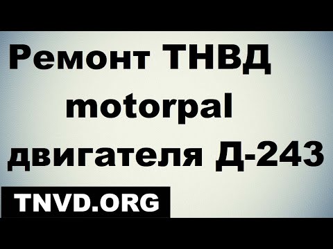 Видео: Ремонт ТНВД motorpal двигателя Д-243