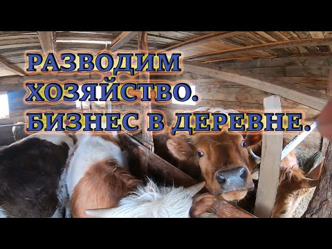Видео: Разведение хозяйства в деревне. ЛПХ. Крс, бараны, свиньи, кролики, птица.