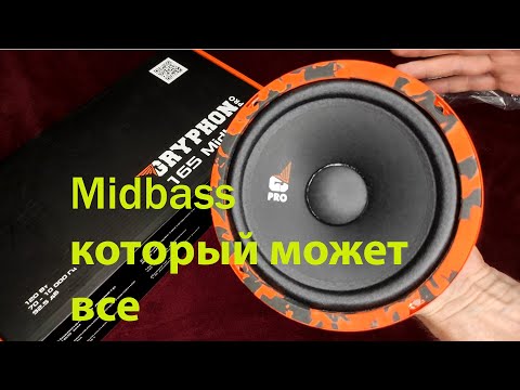 Видео: Midbass который может все DL AUDIO GRYPHON PRO 165