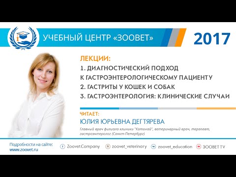 Видео: Дегтярева Ю. Ю. в УЦ «Зоовет» | Гастроэнтерология, ч. 1