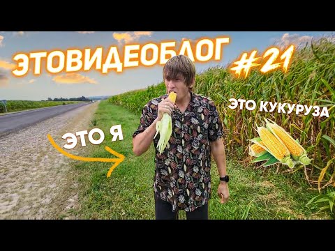 Видео: Запретили ругаться матом на концерте в Смоленске и обиделись хрен знает на что, ещё Брянск и Курск.