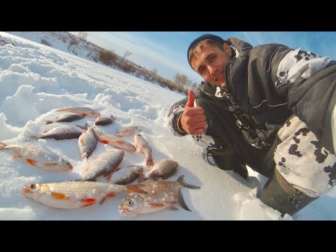 Видео: Рыбалка в северном Казахстане Ловля крупного ЧЕБАКА зимой