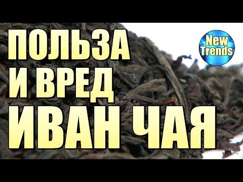 Видео: ПОЛЬЗА и ВРЕД ИВАН ЧАЯ !!!