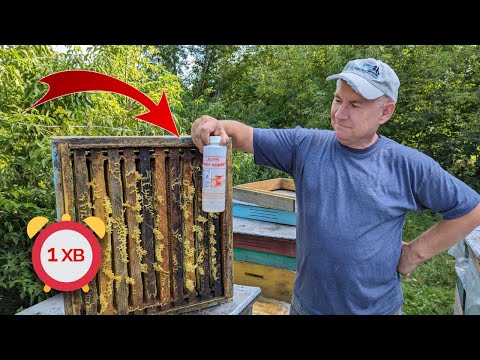 Видео: Як за хвилину відібрати корпус меду