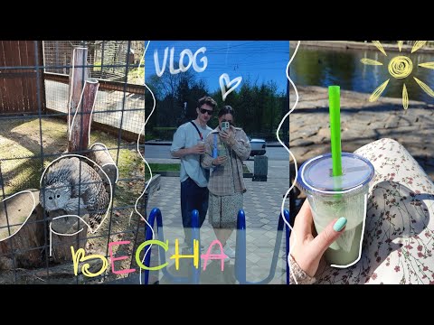 Видео: VLOG #10 | Экопарк | Пробуем bubble tea