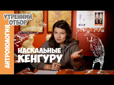 Видео: Как осы датировали кенгуру? Елена Сударикова