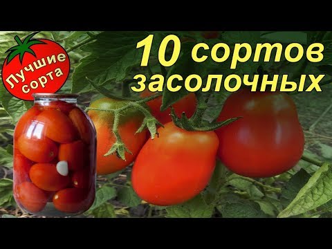 Видео: Лучшие урожайные засолочные сорта томатов 2017-2018 (низкие)