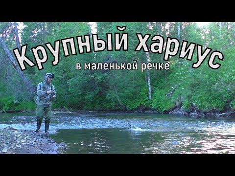 Видео: КРУПНЫЙ ХАРИУС НА ТАЁЖНОЙ РЕЧКЕ.РЫБАЛКА НА СПИННИНГ В ТАЙГЕ.