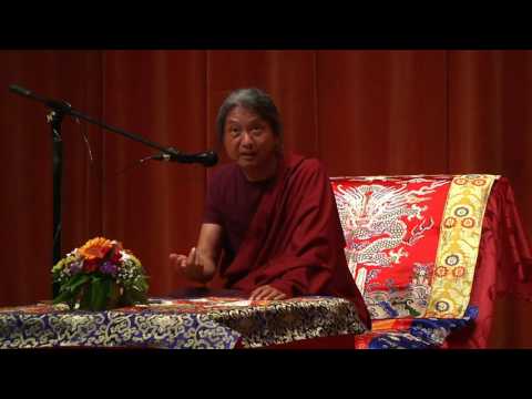 Видео: Гьетрул Джигме Ринпоче Открытая лекция в Киеве   01.07.2016 г.