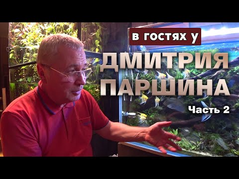 Видео: В гостях у Дмитрия Паршина. Часть 2. Красивый Аквариум скейп Дмитрия.
