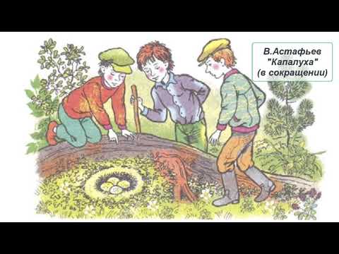 Видео: В. Астафьев "Капалуха" (в сокращении)