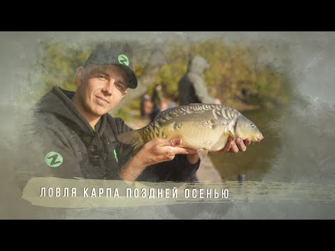 Видео: Fros Fishing / Рыбалка с Фросом / Ловля карпа поздней осенью