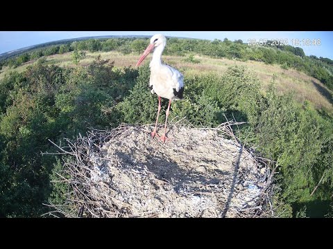 Видео: Прощання, чи ще ні?
