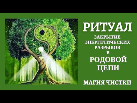 Видео: Закрытие энергетических разрывов в родовой цепи.