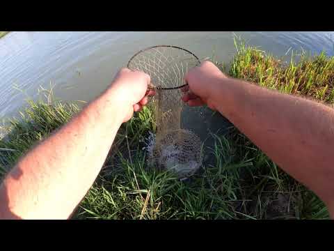 Видео: РЫБАЛКА 2023 НА БСК !  ОТЛИЧНЫЙ УЛОВ ПОДЛЕЩИК КРУПНЫЙ НА ФИДЕР!!!