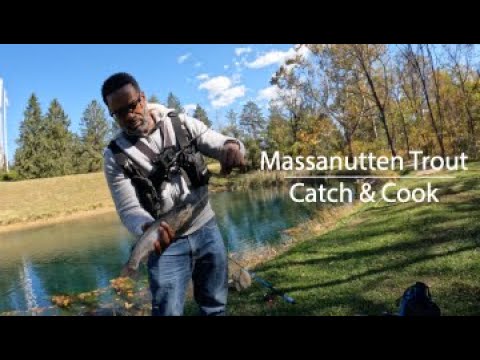 Видео: Форель Массенуттен