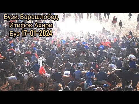Видео: Бузи варашлобод итифок 17-01-2024 Ахири Буз