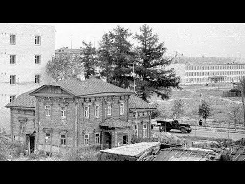 Видео: Купеческие лиственницы на улице Ворошилова в Серпухове.