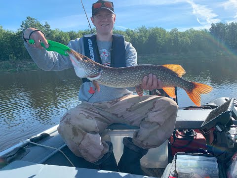 Видео: Летняя рыбалка на спиннинг с лодки. С компаньоном. Рыбы наловили