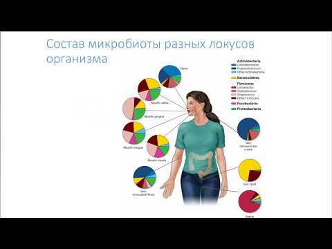 Видео: Лекция: Суворов А.Н. "Микробиота человека"
