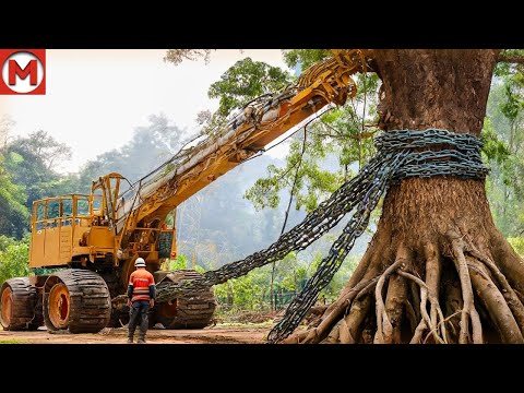 Видео: Эта Новая и Безумная Техника Находится на Другом Уровне