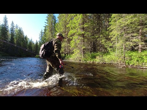 Видео: ОДИН в ТАЙГЕ НА ЛЕСНОЙ РЕЧКЕ. ЩУКА на СПИННИНГ. ТАЁЖНАЯ РЫБАЛКА.
