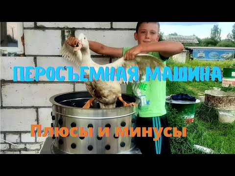 Видео: Перосъемная машина МТМ 600. Плюсы и минусы механического ощипа.