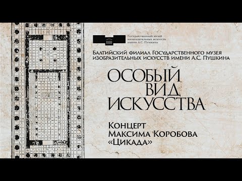 Видео: Концерт Максима Коробова «Цикада»
