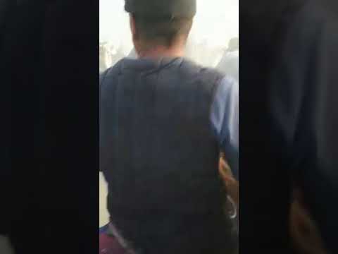 Видео: Кадамжай улак Алмаз палбан