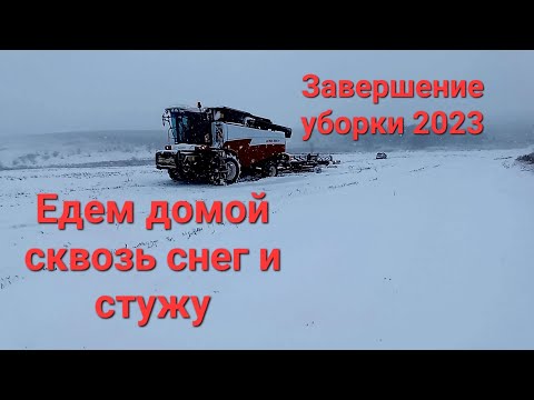 Видео: Завершение уборки подсолнечника 2023. Возвращаемся домой по снегу.