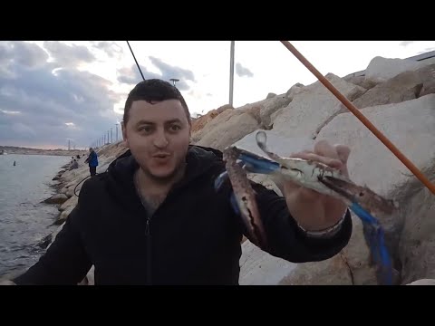 Видео: 67.Израиль.Крабалка.Ашкелон.Часть третья