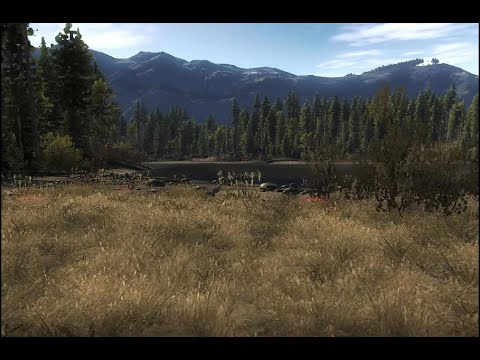 Видео: theHunter Classic:Зашёл и посмотрел.