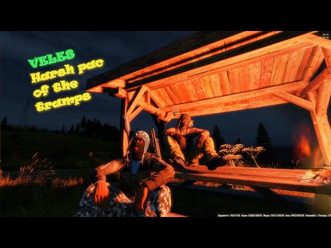 Видео: 🎥 Day 9/Жизнь после вайпа /Veles #dayz #stream_dayz #вфня #стрим_дэйз