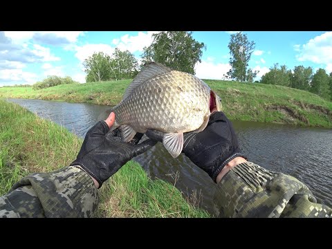 Видео: Микроджиг на малой речке. 29 мая.