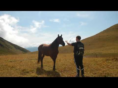 Видео: Кавказский биосферный заповедник