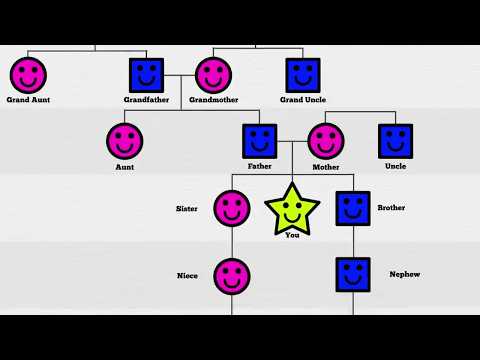 Видео: Объяснение вашего генеалогического древа