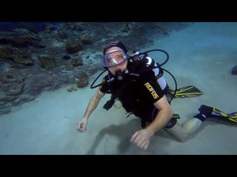 Видео: Кормежка акул во время дайвинга, Когалым, СКК Галактика
