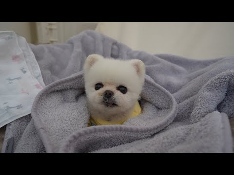 Видео: Мы пошли в поход, чтобы спастись от жары [Ru Pong House Camping V-log]